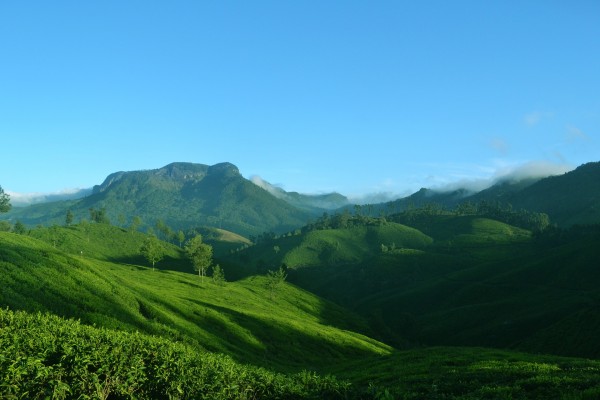 Kerala ( Munnar, Thekkady & Alleppey )