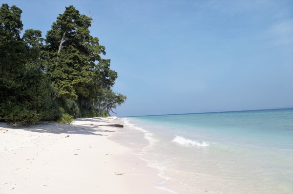 Splendid Andaman