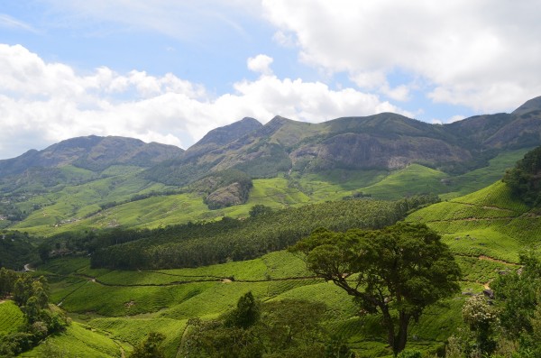 Kerala : Munnar Only