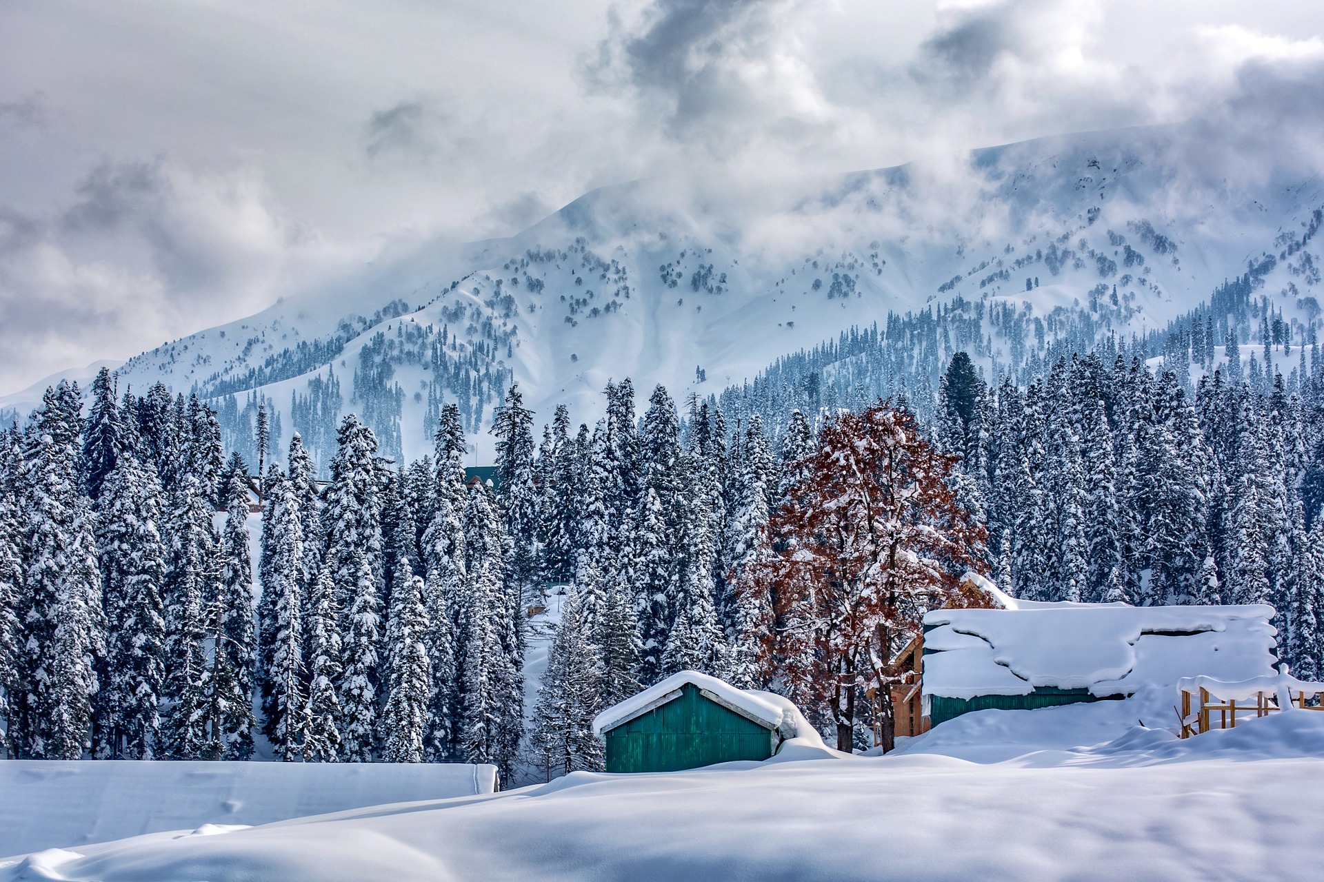 Srinagar Pahalgam Gulmarg Srinagar Kargil Leh Nubra   Gulmarg 2 