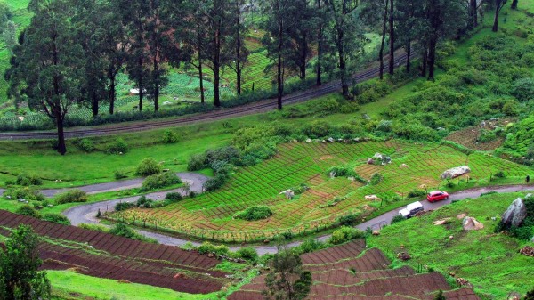 Bangalore - Mysore - Ooty (  With Coonoor )