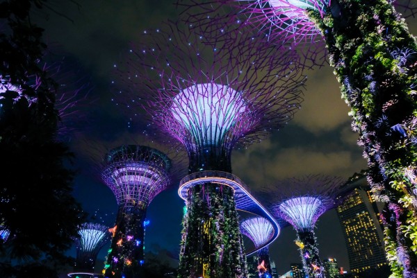 A Complete Tour of Singapore