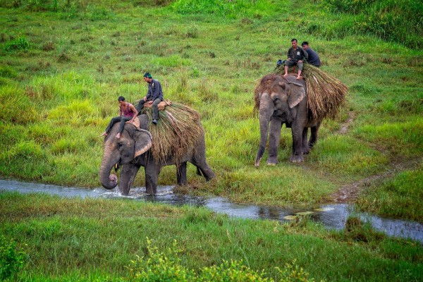 Chitwan National Park